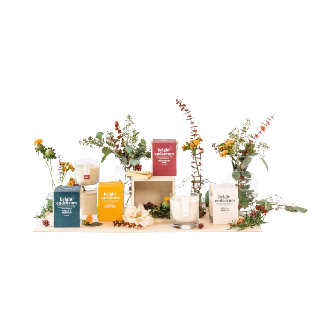 We are thrilled to (re)introduce you to Bright Endeavors