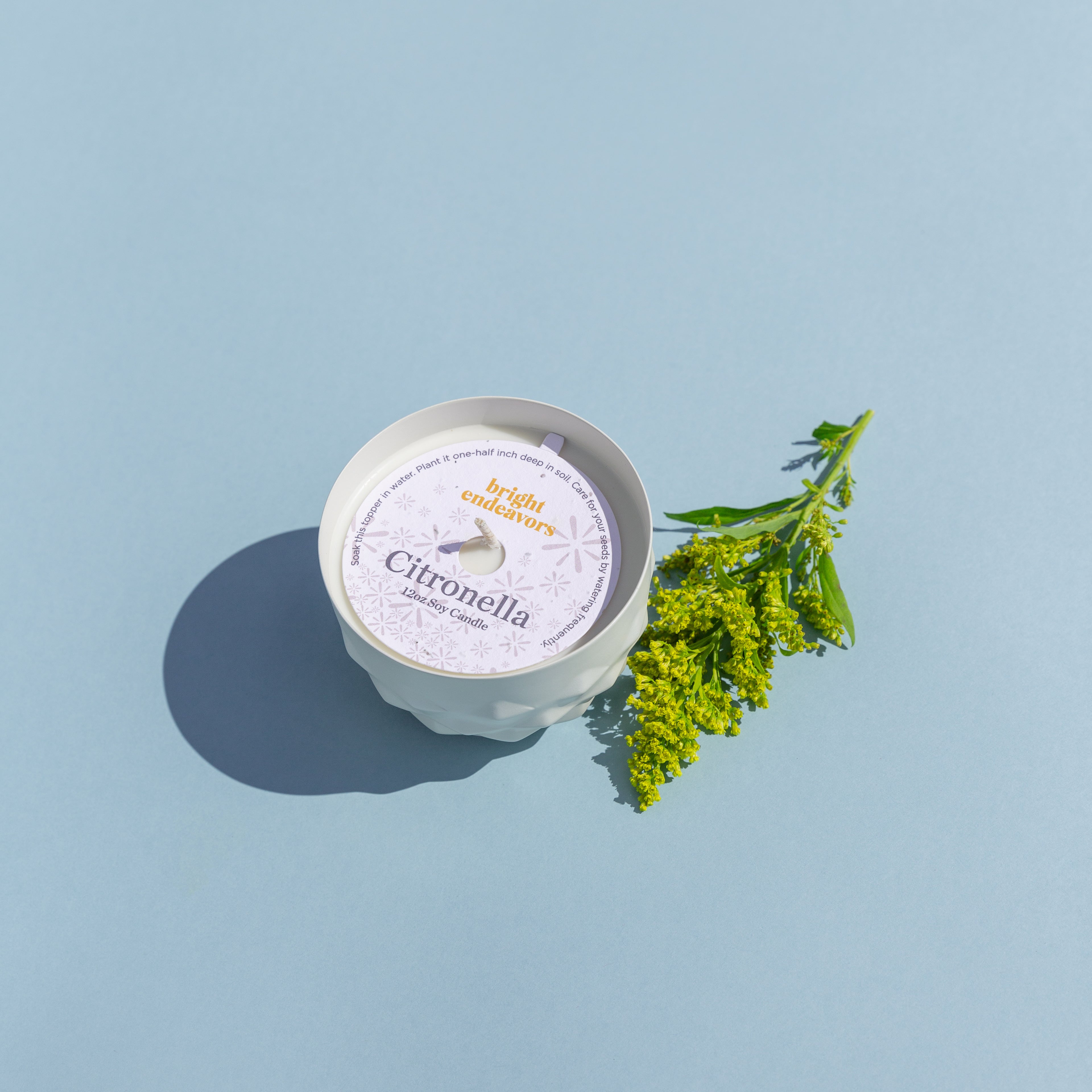 Bright-Endeavors-Citronella-Candle-1.jpg