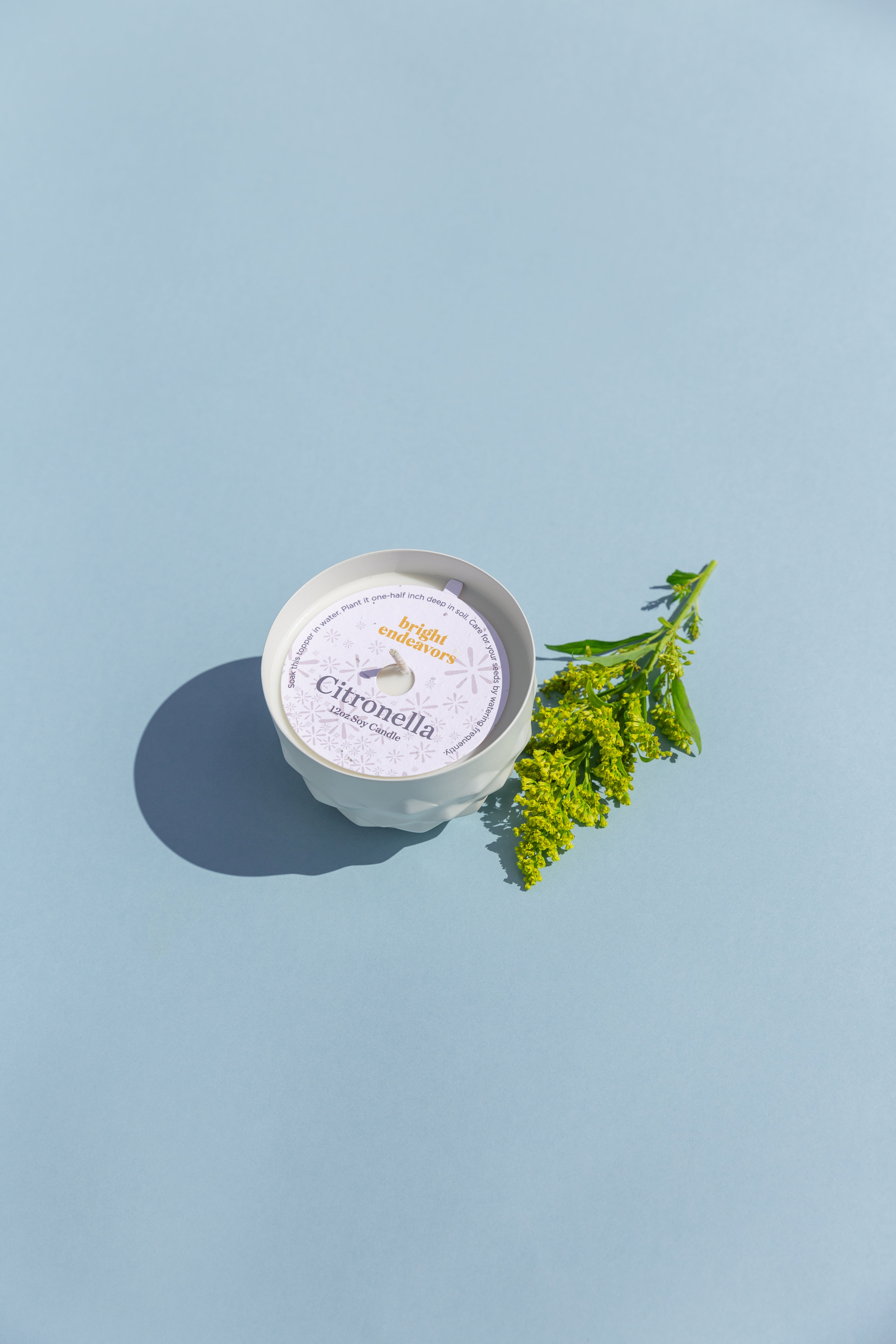 Citronella Candle