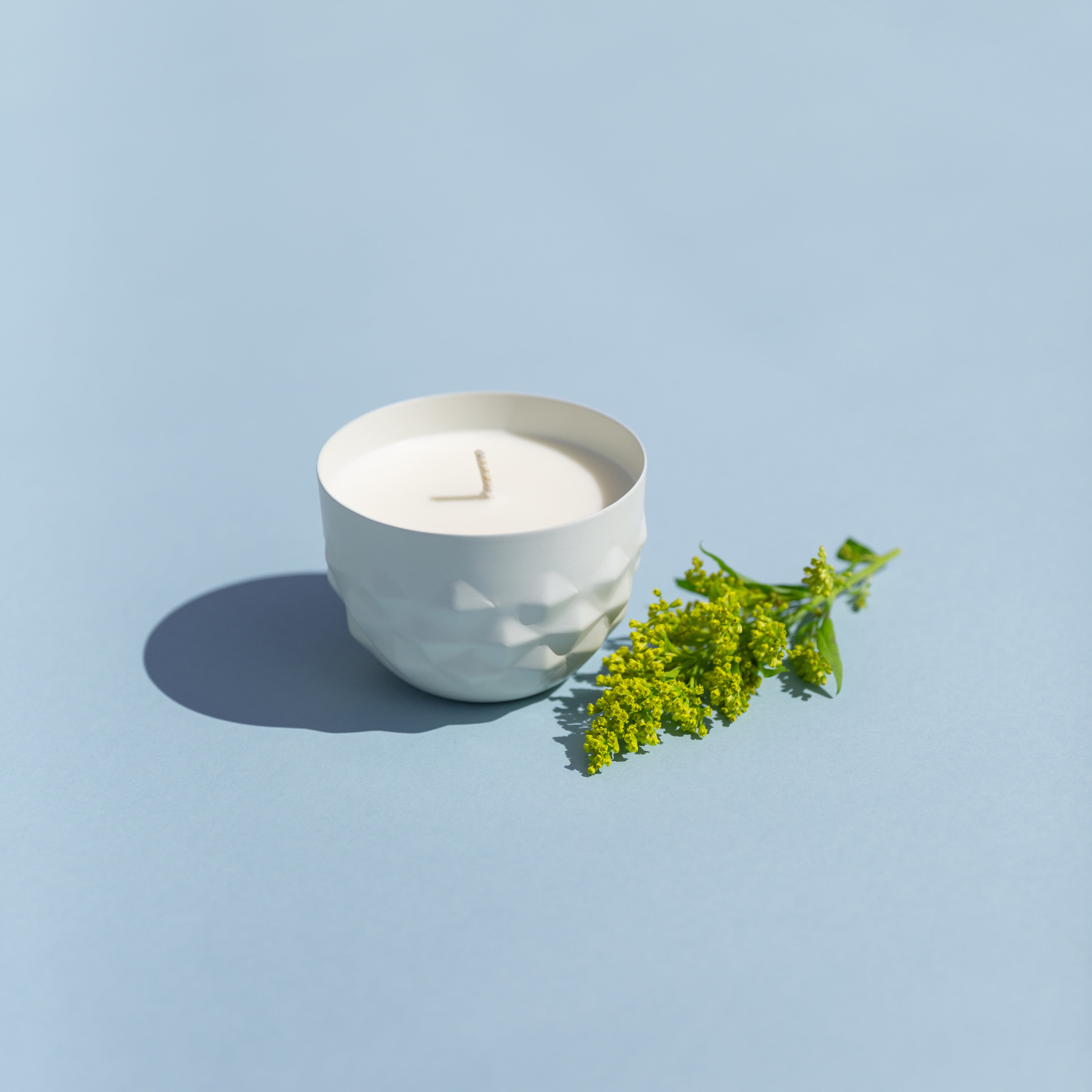 Bright-Endeavors-Citronella-Candle.jpg