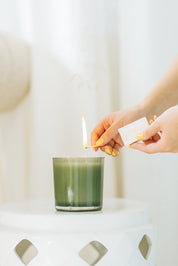 Bright Lights Juniper Berry & Fir Candle