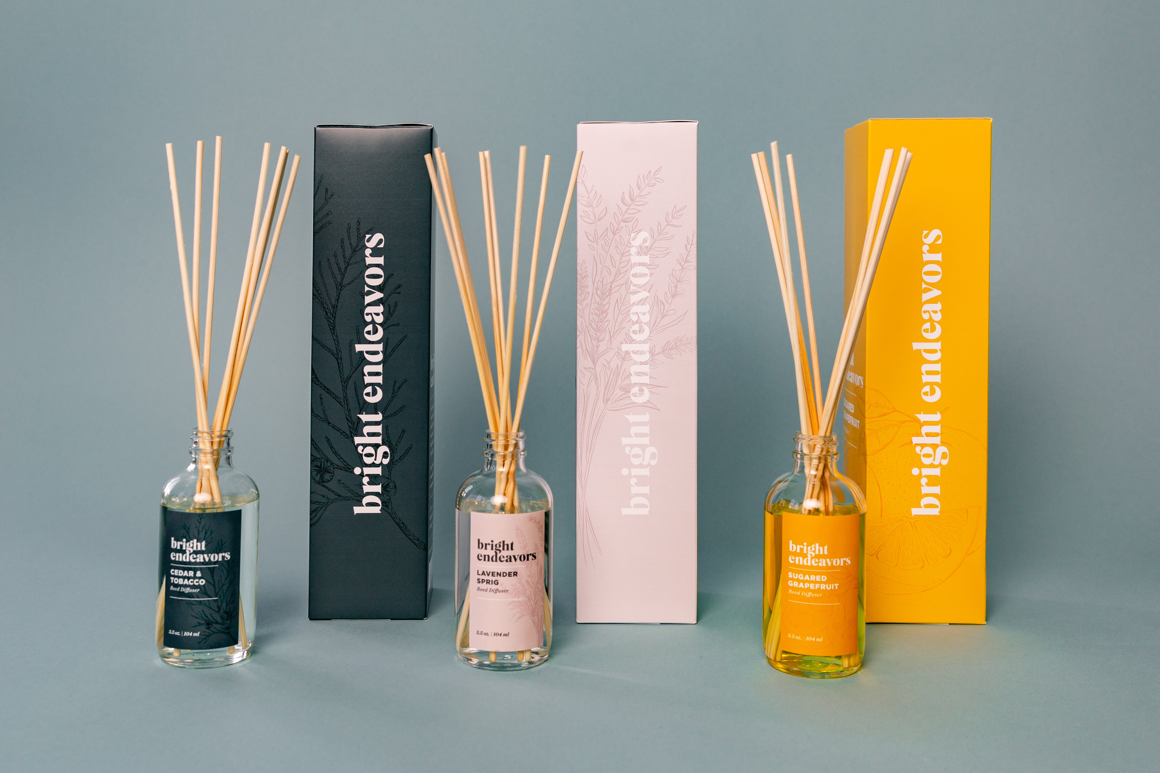 Bright Endeavors Reed Diffuser