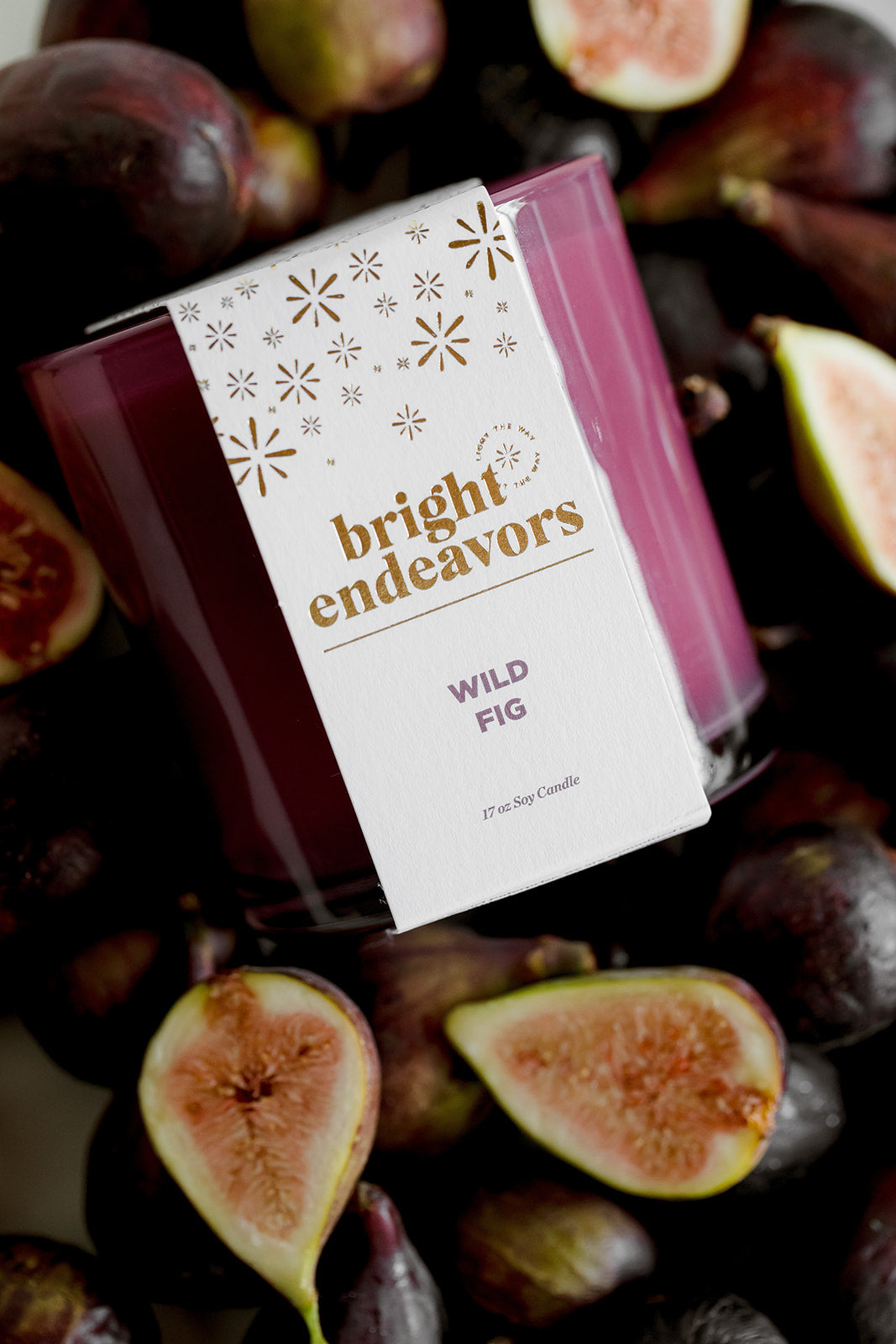 BrightEndeavors-046.jpg