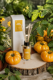Heirloom Tomato Reed Diffuser